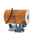 PLANTILLA AMAROK 17 (28).webp