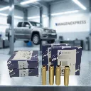 GUIAS VALVULAS AMAROK TRW 1.webp
