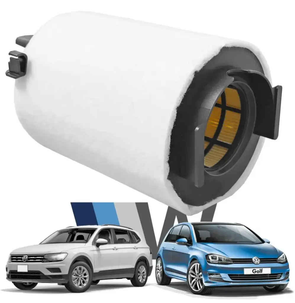 [1F0129620] FILTRO AIRE MOTOR